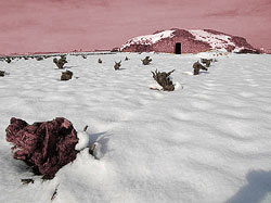 Nieve